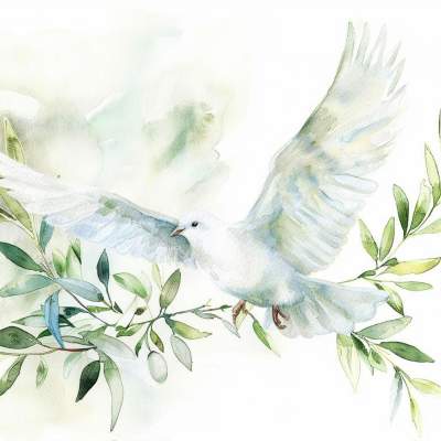 Shalom : Hope for a Divided World